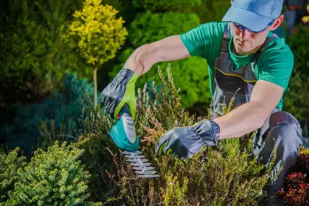 landscaping services Westvale